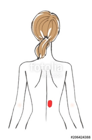 1週間前から背中の背骨の右側の真ん中辺りが痛みます 女性で2週間 Yahoo 知恵袋