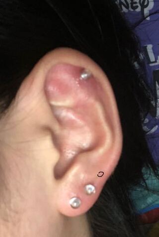 パスタ 大西洋 野な ピアス ロブ 3 連 Tayoreru Gaiheki Com