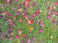 上から目線で話してくる人の対処法を教えてください 相手は年 Yahoo 知恵袋