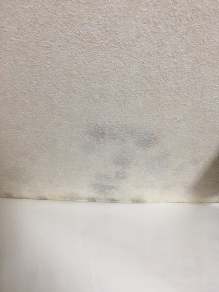 長期で家を空ける時の衛生面について - 夏休みの帰省で約1ヶ月半家を 