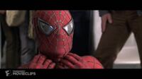 Usjのスパイダーマンのアトラクションって世界観はサムライミ版 声優などで だ Yahoo 知恵袋