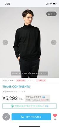 貧乳女子はタートルネックの服は着ないほうがいいですか タートルネックは胸の大き Yahoo 知恵袋