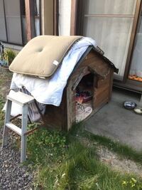 庭の犬小屋に猫の家族が住んでいます これから遠慮なく雪が降る寒い季節がやっ Yahoo 知恵袋