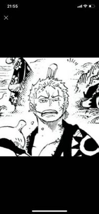 ゾロがロビンを守る 助けるシーンってありますか 詳しく教えて下さい Yahoo 知恵袋