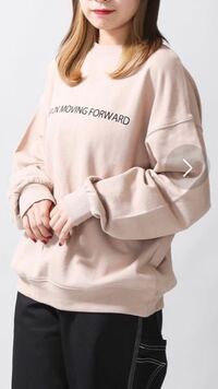 このトレーナーをwegoで購入しました ボトムスは何にしたらいい Yahoo 知恵袋