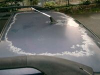 塗装料金について 車の屋根の部分の塗装がはがれてきています 一部修正では Yahoo 知恵袋