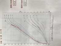 現在12歳３ヶ月の小6の息子の身長は１６１センチ 体重５５キロ 足のサイズ Yahoo 知恵袋