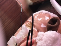 100均に売ってる電源コードをカバーするプラスチックのものを付けてるんですけ Yahoo 知恵袋