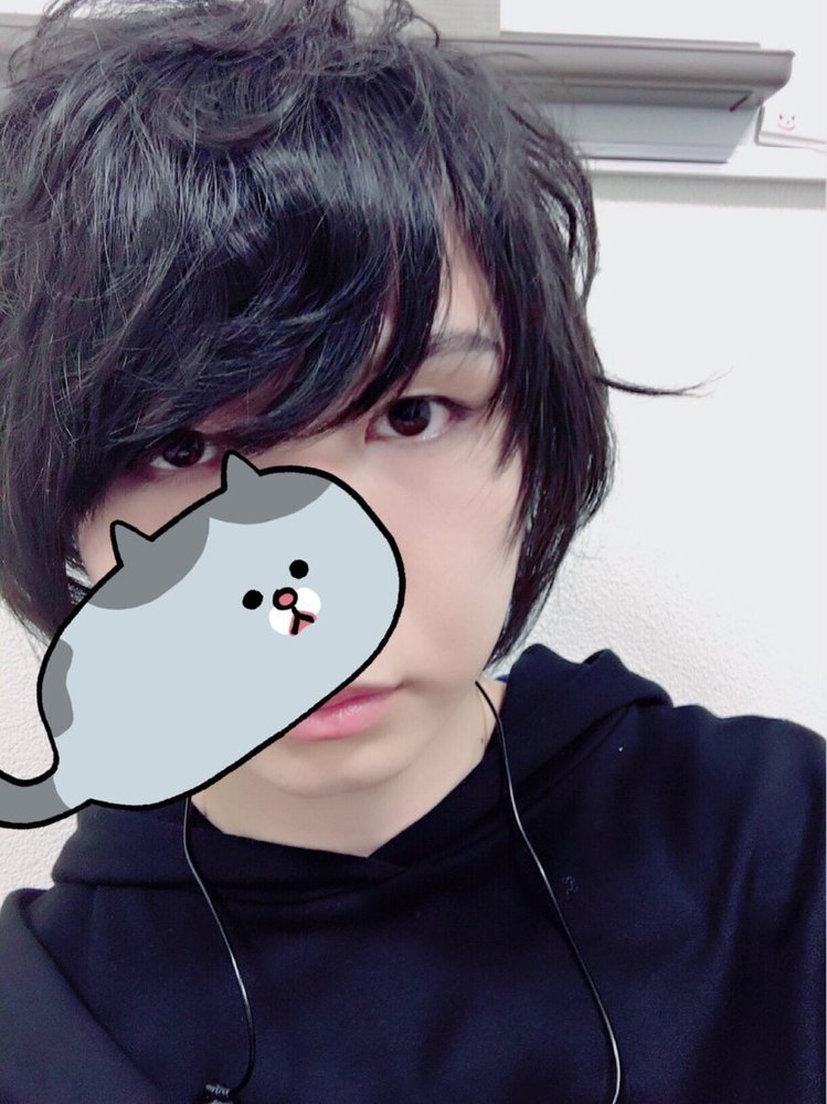 歌い手のそらるさんが自撮りの顔を隠すよく使われている灰色の猫のス 