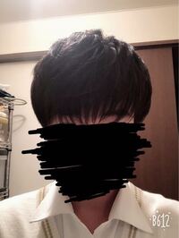 デューサー3は剛毛向きですか 軟毛向きですか ツヤはでますか 割と Yahoo 知恵袋