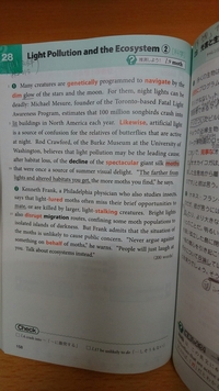 Bonfirelitってどういう意味ですか Bonfir Yahoo 知恵袋