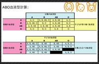 あの Ab型とb型では生まれてくる子は何型ですか 教えて下さいm Yahoo 知恵袋