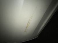 車に付着した塗料のはがし方免許取立ての娘が家の車を運転していて Yahoo 知恵袋