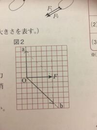 中学3年理科 物理です 理科力fをa方向とb方向に分解する分力の作図なの Yahoo 知恵袋