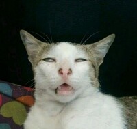 お酒を飲むと顔が赤くなるのが ﾏｼﾞでいや 台前半の女です ﾜﾀ Yahoo 知恵袋