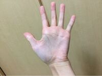 ワイテルズについてです 最近ハマりました 拾い画で申し訳ないのですが様々 Yahoo 知恵袋