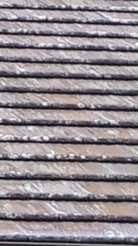 スカイリムps4版ドラゴンボーンクエストのミラークとドラゴンソウルに Yahoo 知恵袋