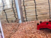 土の1リットルは何キロかおしえて下さい 乾いてふわふわにほぐれてい Yahoo 知恵袋