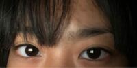 女性に質問 男の目の形について 例 丸い目 三角の目 タレ目 Yahoo 知恵袋