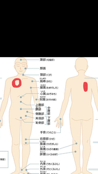 上を向いて唾やものを飲み込むと右の鎖骨から右胸あたりが痛みます Yahoo 知恵袋