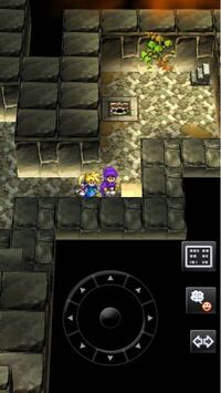 ドラゴンクエスト8の願いの丘について質問です Ps2版なのです Yahoo 知恵袋