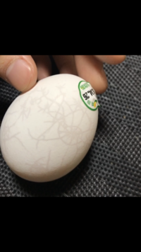 買った卵に変な線がたくさん入っているのがありました これって何な Yahoo 知恵袋