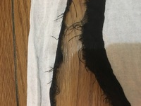 メダカの卵が受精するタイミングはいつですか 今 お腹が膨れている状態なん Yahoo 知恵袋