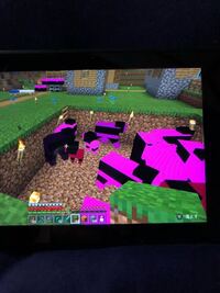 マインクラフトで蛍光ピンクと黒のバグがあります チェストは1つだと普 Yahoo 知恵袋