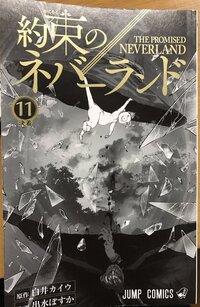 約束のネバーランドのレウウィス大公が登場する漫画の巻を全て教えてほし Yahoo 知恵袋