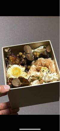 引越しの手伝いにこない彼女についてご意見をいただきたいと思い投 Yahoo 知恵袋