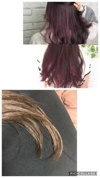 茶髪に紫と青のカラーバターで染めた場合のヘアカラーの発色について詳しい Yahoo Beauty