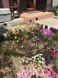 庭に地植えで花を植えています 植える前に 土に堆肥を混ぜ込 Yahoo 知恵袋