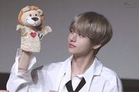 このテテのライオンは何センチですか 40 50くらい Yahoo 知恵袋