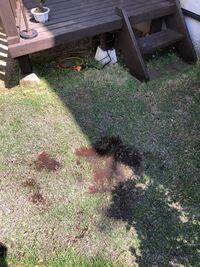 水はけの悪い部分の改善の仕方を教えてください この部分だけ水はけが悪 Yahoo 知恵袋