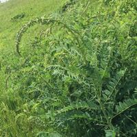 小説等の表現で 期待外れでガッカリさせられ 見損なった は解るのです Yahoo 知恵袋