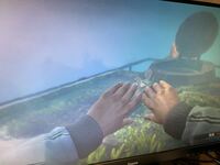 Gta5の質問です 隠しパッケージを無限に取るのをやってみました Yahoo 知恵袋