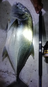 アングラーと釣り師の違いは何ですか もちろん英語 日本語じゃなくて Yahoo 知恵袋