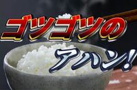 ゴツゴツのアハンのような語音転換という言葉遊びによく使われている Yahoo 知恵袋