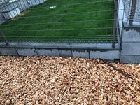 ウッドチップを地面に散布した場合のデメリットで以下のような指摘がありました ど Yahoo 知恵袋