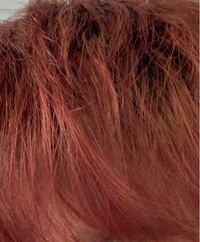 至急の質問なのですが 今髪の毛を赤茶みたいな色に染めたのですが Yahoo 知恵袋