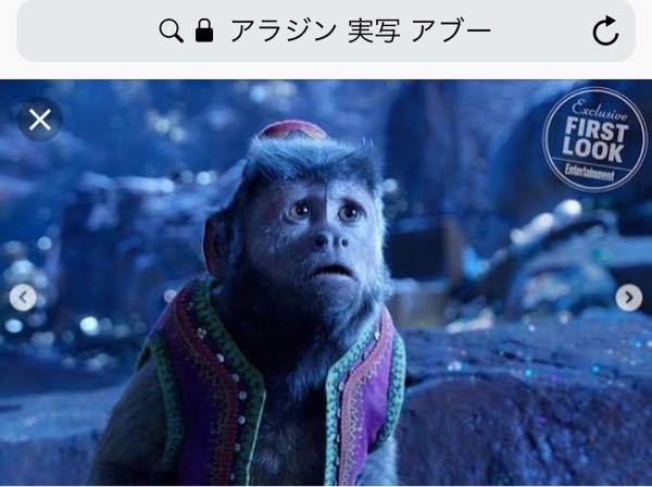 アラジンの実写版アブーで演じてたこのお猿さんの種類 の名前を教え Yahoo 知恵袋