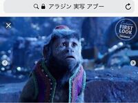 映画アラジンの主人公アラジンの相棒のアブーの猿の種類は何ですか オマキ Yahoo 知恵袋