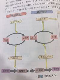 有機物と無機物がよく分からないので小学生でもわかるように説明 Yahoo 知恵袋