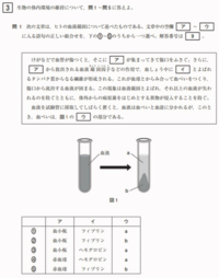 高卒認定試験 過去問 生物基礎 ちょっぴり問題あなたは解けます Yahoo 知恵袋