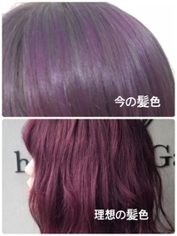 先日髪を染めたら紫よりのピンクになる予定がただの紫になりました 紫が嫌すぎ Yahoo 知恵袋