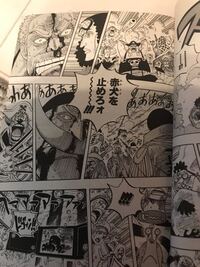 Onepieceワンピースの青キジ グザンは裏もなくただ 黒ひげ海賊団に加担 Yahoo 知恵袋