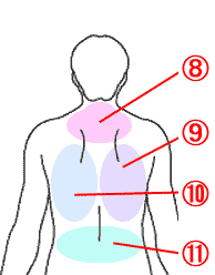 懸垂マシンでディップスと懸垂 腹筋ローラーで筋トレしてます 画像 Yahoo 知恵袋