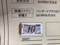 犬の予防接種について最近 10種の混合ワクチンを接種しましたが それと フ Yahoo 知恵袋