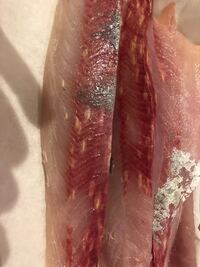 ヒラマサという魚をさばいていたら 魚肉に生姜をすりおろしたような種の形をし Yahoo 知恵袋