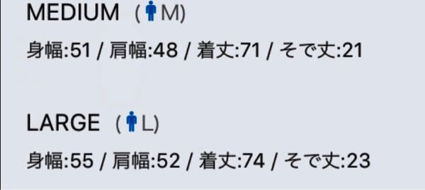 身長165cm体重約60キロの男だったら - どっちのサイズを買 身長165cm体重約60キロの男だったら - どっちのサイズを買